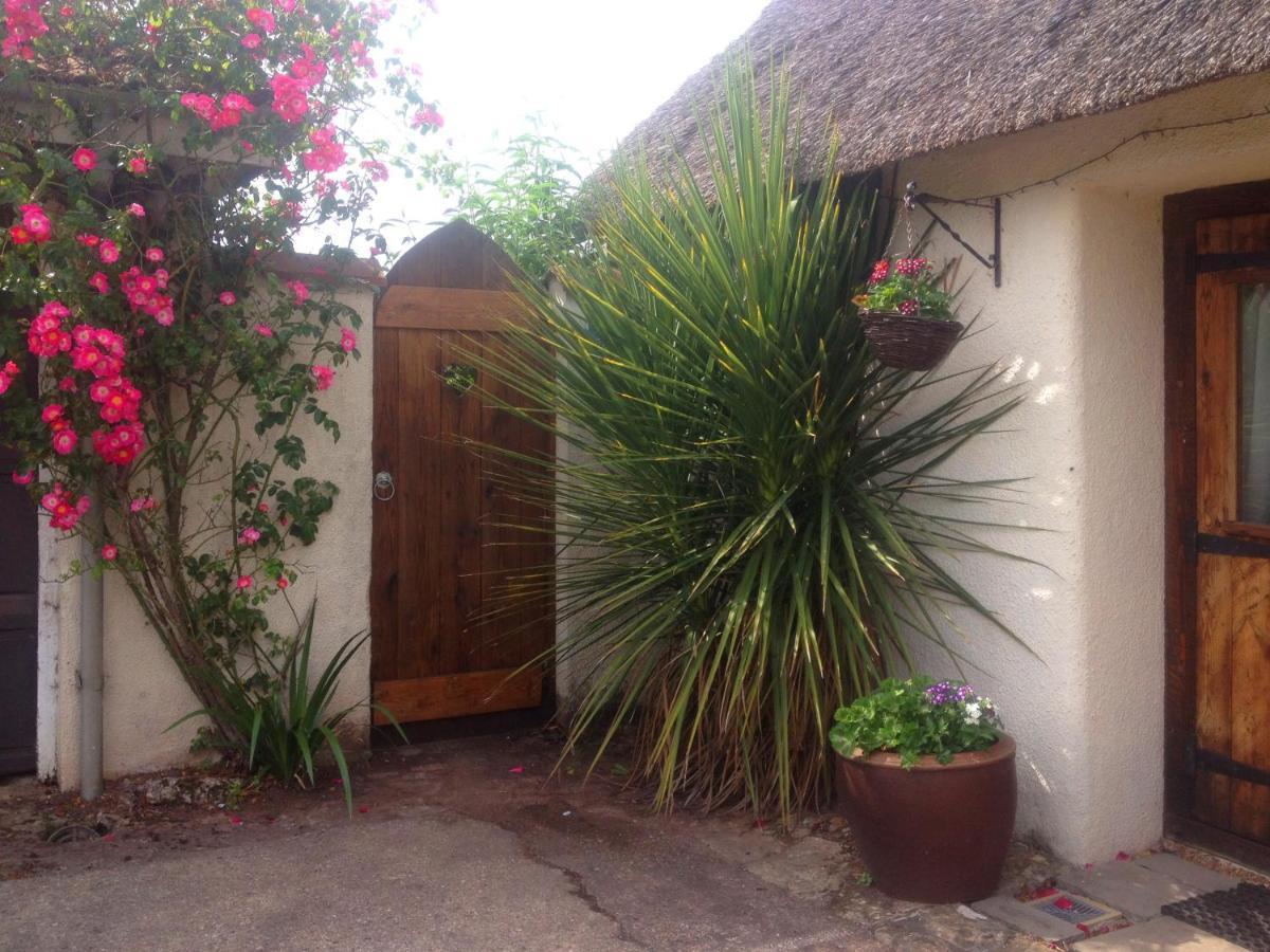 The Nest - Thatched Seaside Country Cottage For Two Stokeinteignhead Buitenkant foto