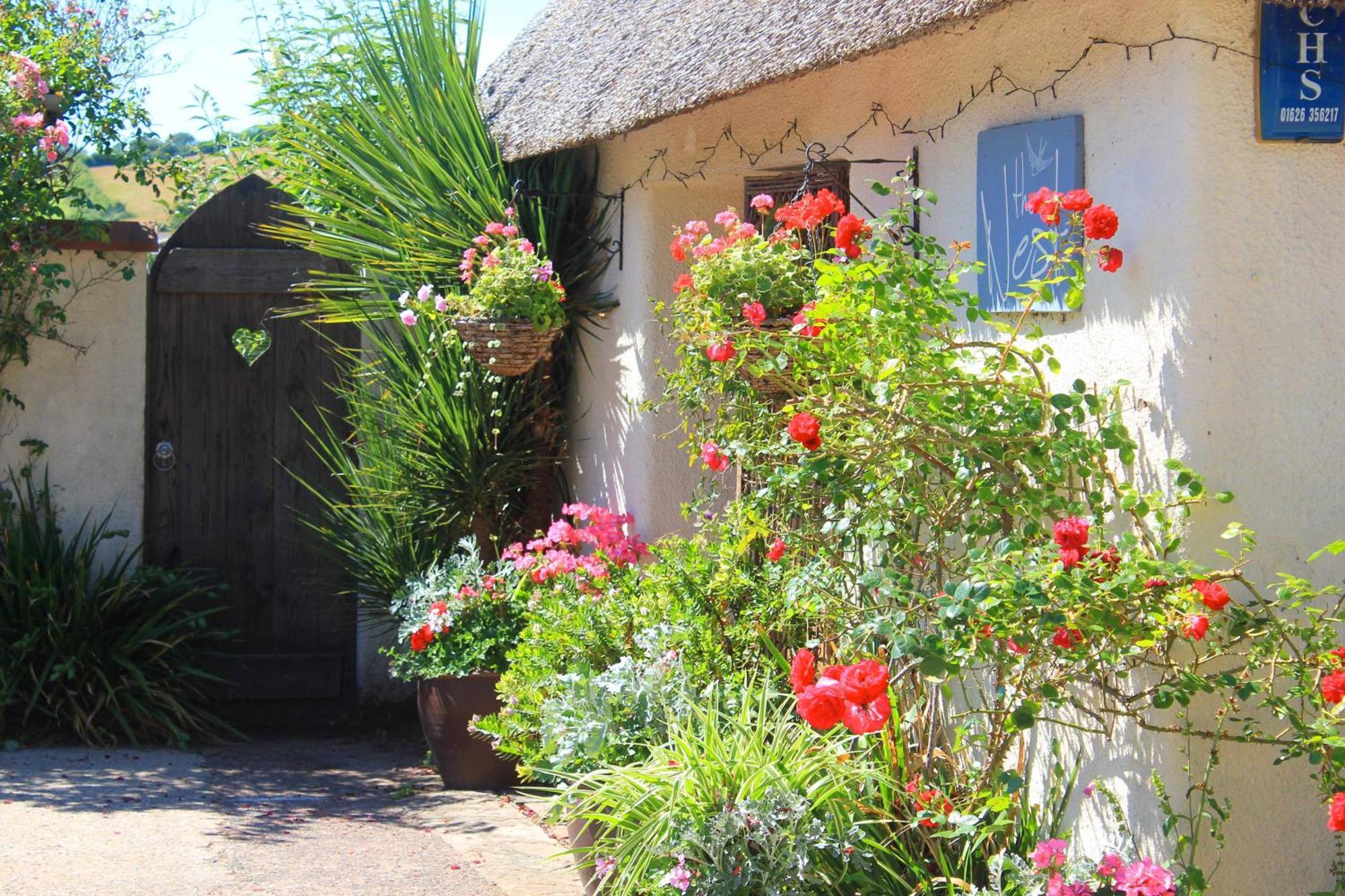 The Nest - Thatched Seaside Country Cottage For Two Stokeinteignhead Buitenkant foto